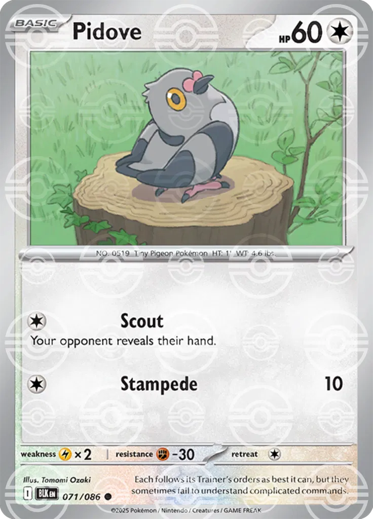 Pidove (Poke Ball Pattern) 071/086